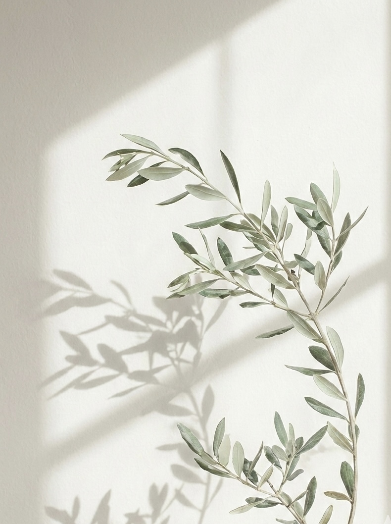 構造設計のイメージ